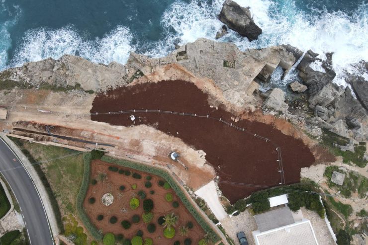 Il giardino sul mare